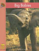 Bebes Que Son Grandes/ Big Babies (Yellow Umbrella Books. Science. Spanish.) 0736852573 Book Cover