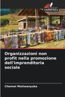 Organizzazioni non profit nella promozione dell'imprenditoria sociale 6205895862 Book Cover