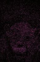 Seeing the Unseen: Responses to Fitz-James O'Brien's 'What Was it? A Mystery' 0992723809 Book Cover