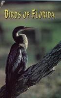 Birds of Florida 0820009075 Book Cover