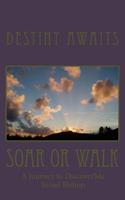 Soar or Walk: DiscoverMe 1492285382 Book Cover