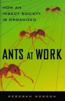 Ants at Work: How an Insect Society is Organized 0684857332 Book Cover