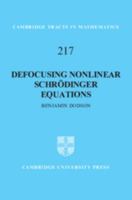Defocusing Nonlinear Schr�dinger Equations 1108472087 Book Cover