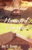 The Foster Twins in the Mystery of the Haunted Canyon 0595488757 Book Cover