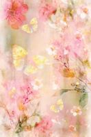 Butterfly Haven 5 Journal 1961922045 Book Cover