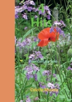 4 Hits (French Edition) B07YTSPWWB Book Cover