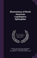 Illustrations of North American Lepidoptera Sphingidae 1341890538 Book Cover