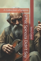 What Spinoza Didn't Say.: A Collection of poems. B096CR54RB Book Cover