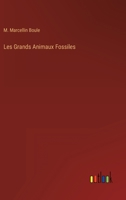 Les Grands Animaux Fossiles 3563125651 Book Cover