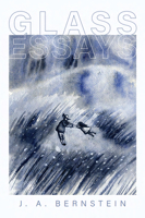 Glass Essays 1955602131 Book Cover