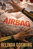 Airbag 1069904236 Book Cover