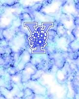 Y: Gorgeous Marble Monogram Initial Notebook for Teens, Adults With Flower Design on Each Page 1099299918 Book Cover