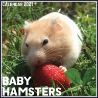 Baby Hamsters Calendar 2021: Official Baby Hamsters Calendar 2021, 12 Months B08YDS2DVN Book Cover