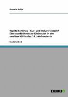Teplitz-Schönau: Kur- und Industriestadt? Eine nordböhmische Kleinstadt in der zweiten Hälfte des 19. Jahrhunderts 3638700151 Book Cover