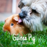 Guinea Pig 2021 Wall calendar: Cute Guinea Pig 2021 Wall Calendar, 18 Months 8.5x8.5 in - wall calendar. B08T3ZPPRK Book Cover