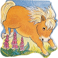 Pocket Pony (Pocket Pals Board Books) 085953913X Book Cover