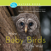 More Baby Birds in the Wild 1772031194 Book Cover