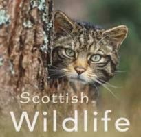 Scottish Wildlife (Gift Book) (Colin Baxter Gift Book) 1841075736 Book Cover