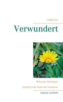 Verwundert: Heilsames Misslingen 3739229977 Book Cover