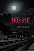 Midnight Train to Trieste: Collection of Short Stories 1491842962 Book Cover