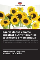 Egeria densa comme substrat nutritif pour les tournesols ornementaux (French Edition) 6208375088 Book Cover