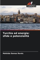 Turchia ed energia: sfide e potenzialità (Italian Edition) 6208761360 Book Cover