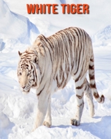 White Tiger: Learn About White Tiger and Enjoy Colorful Pictures B08MHLBPJW Book Cover