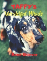 TAFFY'S WONDERFUL MIRACLE STORY: AN EASY READER CHILDREN'S STORY & COLORING BOOK about a Silver Dapple Dachshund's adventures and a great miracle too! B084DH6DPZ Book Cover