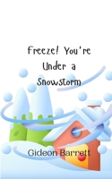 Freeze! You're Under a Snowstorm 9916943176 Book Cover