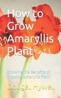 How to Grow Amaryllis Plant: Knowing the Benefits of Growing Amaryllis Plant B0CPCN24TL Book Cover