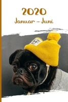 Kalender 2020: Mops Hunde Tageskalender 1. Halbjahr Januar Juni ca DIN A5 wei� �ber 190 Seiten 1656200899 Book Cover