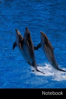 Notebook: Dolphin themed ruled Notebook / Journal / Diary / Composition Book / Planner / Log Book / Notes  - 6 x 9 inches (15,24 x 22,86 cm), 110 wide ruled pages with date line on top, glossy finish 1671837843 Book Cover