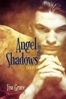 Angel in the Shadows 151171557X Book Cover