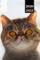 ????? ?? ??? ?? ?? ????? ??? 2020 - 2021 A5 ??????? ???????: ??????????????????????????? ??????? DIN A5 1713422964 Book Cover