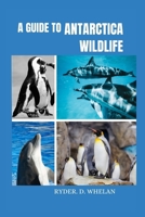 A Guide to Antarctica Wildlife: The ultimate Visitors handbook to knowing and identifying penguins whales dolphins and birds B0CVDHDZCX Book Cover