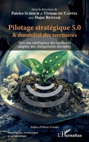 Pilotage stratégique 5.0 et durabilité des territoires: Vers une intelligence des territoires adaptée aux changements disruptifs (Intelligence Stratégique Et Géostratégie) (French Edition) 2343217386 Book Cover