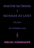 Bortom skymning i skuggan av livet: volym 4 en strimma ljus (Swedish Edition) 9180576400 Book Cover