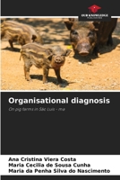 Organisational diagnosis 6208577918 Book Cover