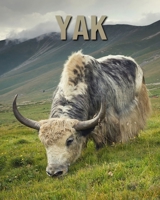 Yak: Fun and Fascinating Facts and Photos about These Amazing & Unique Animals for Kids B08CPCD9D3 Book Cover