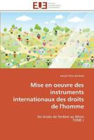 Mise en oeuvre des instruments internationaux des droits de l'homme 3841797393 Book Cover
