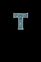 T: Decorative Monogram Notebook 1798065606 Book Cover