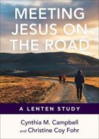 Meeting Jesus on the Road 0664268854 Book Cover