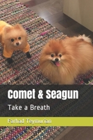 Comet & Seagun: Take a Breath B08T6BTPLZ Book Cover