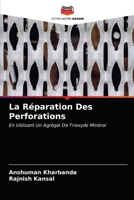 La Réparation Des Perforations: En Utilisant Un Agrégat De Trioxyde Minéral 6202823437 Book Cover