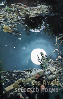 Selected Poems 1852249218 Book Cover