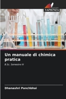Un manuale di chimica pratica (Italian Edition) 6208296331 Book Cover