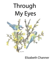 Through My Eyes: A book of poems mainly for children and the young at heart 1506135099 Book Cover