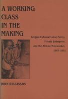 A Working Class in the Making: Belgian Colonial Labor Policy, Private Enterprise, and the African Mineworker, 1907-1951 0299120740 Book Cover