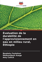Évaluation de la durabilité de l'approvisionnement en eau en milieu rural, Éthiopie (French Edition) 6207886666 Book Cover