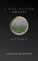 A New Nation Awaits: Com 1539040577 Book Cover